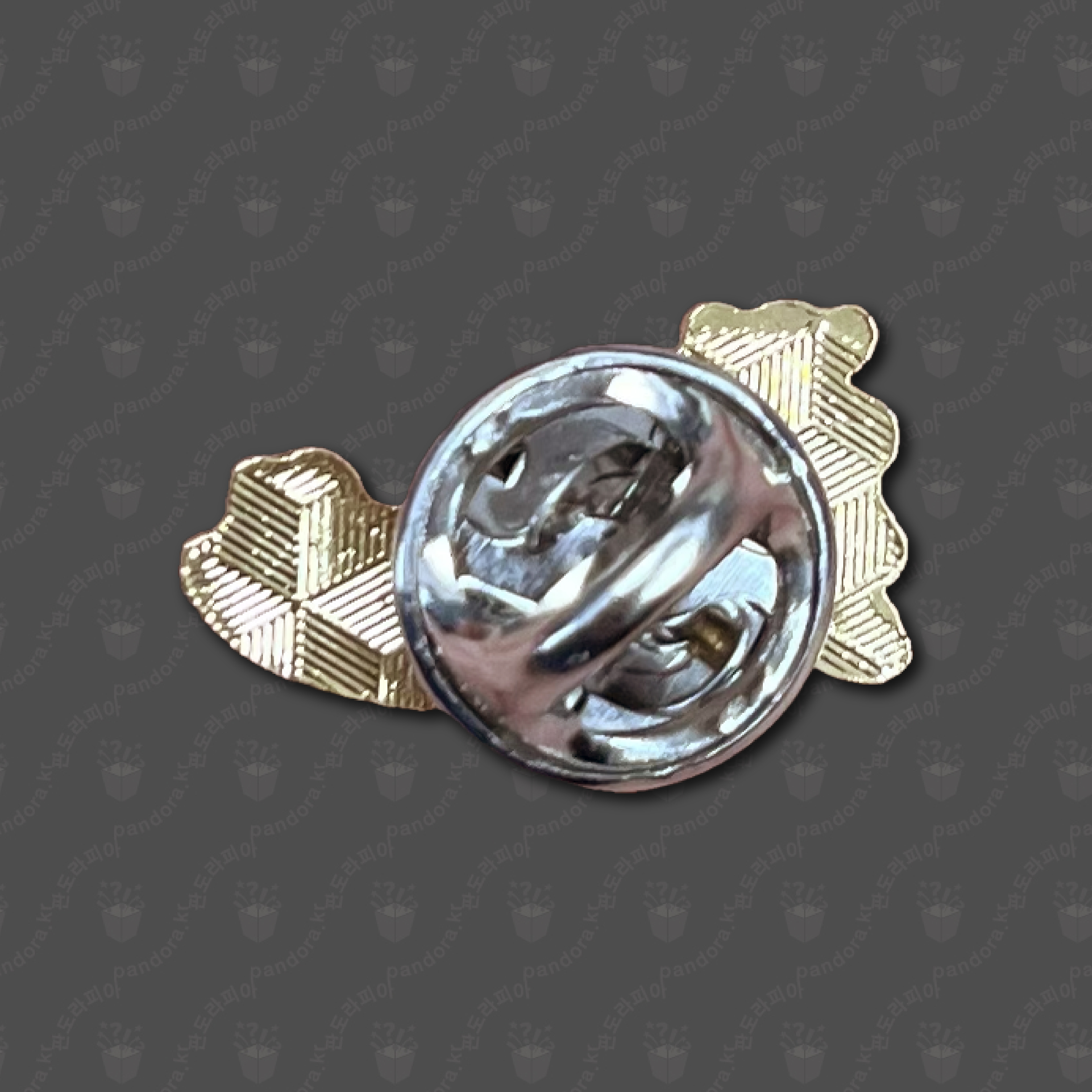 �������ڰ����б� �л�ȸ ����