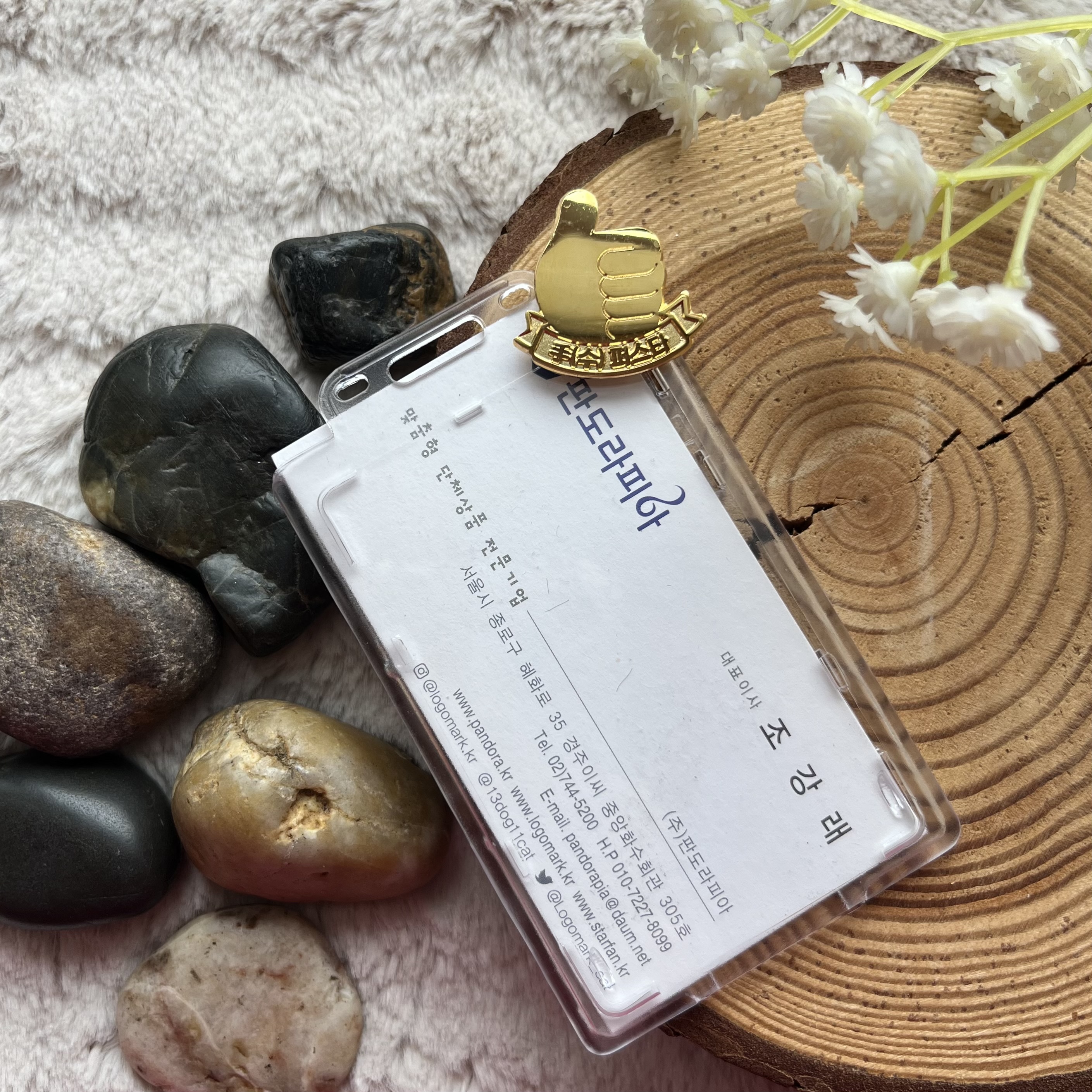 �������б����� ����